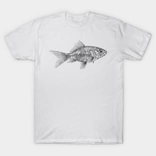 Gold fish scientific nature black ink pen drawing illustration T-Shirt